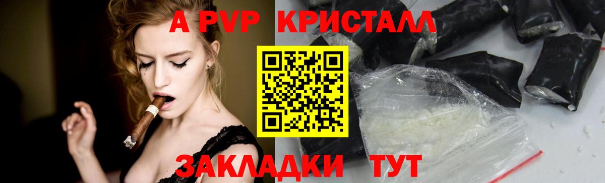 А ПВП СК КРИС Пугачёв