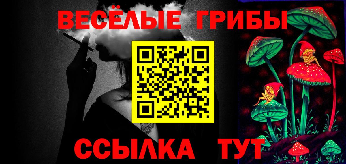 Пугачёв  Псилоцибиновые грибы мухоморы  Вход с VPN 